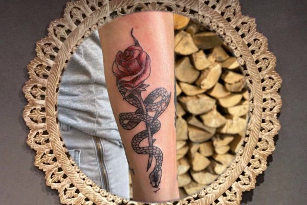 ♂ Snake with rose tattoo